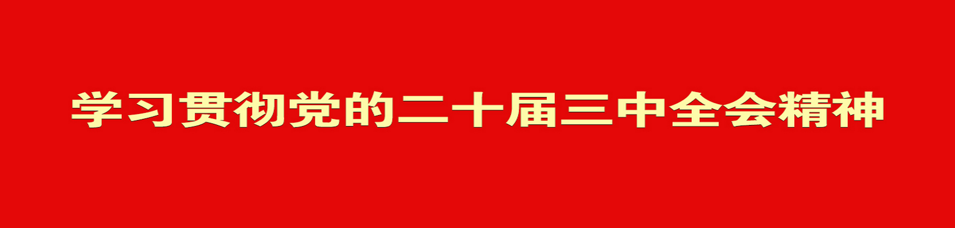 学习贯彻党的二十届三中全会.jpg